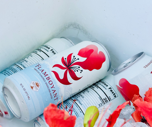 Flamboyant Sparkling Hibiscus Water